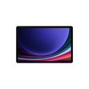 GTS9SGABEI256X710-0