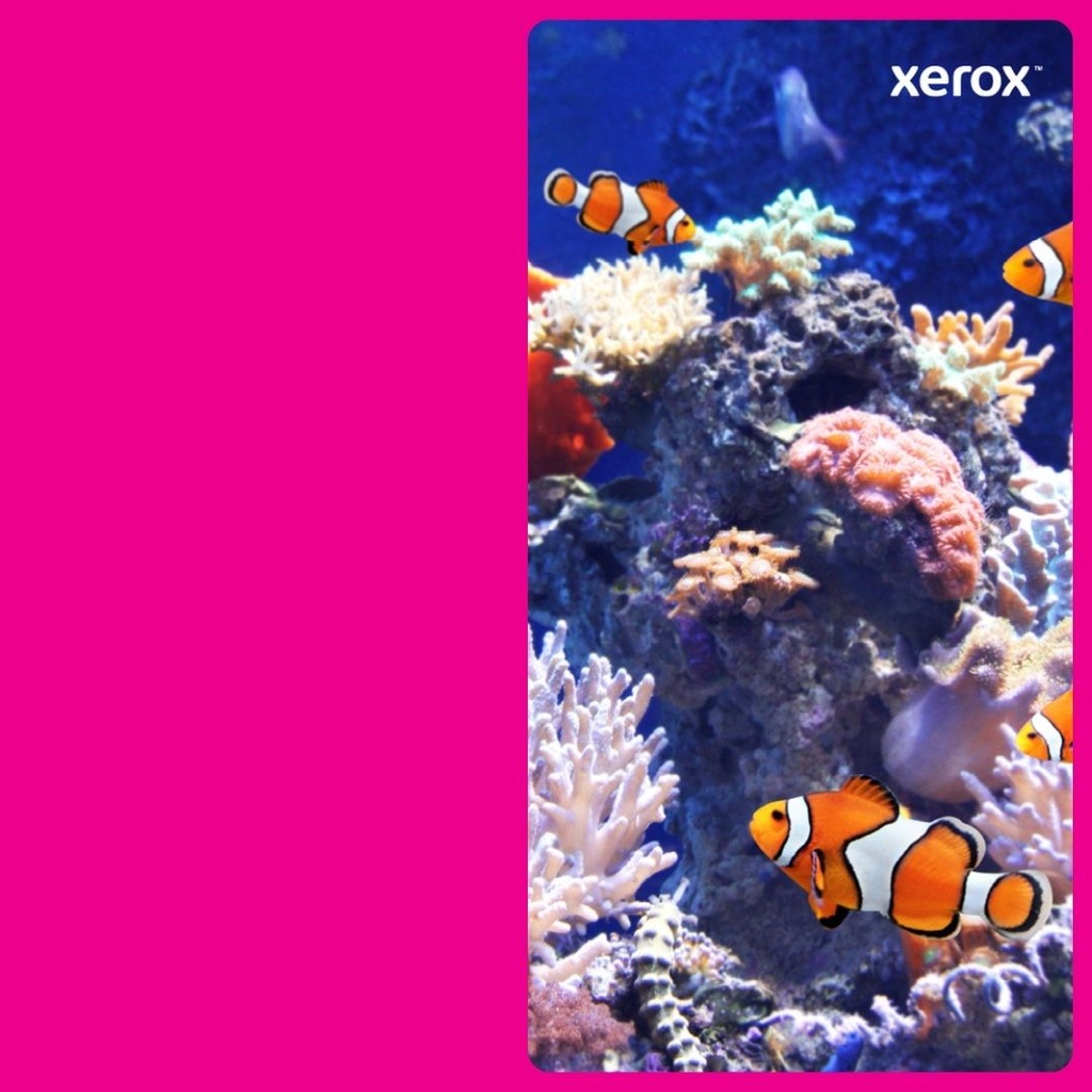 TONER MAGENTA P/VERSALINKC7020/7025/7030 11,800 PAGINAS 