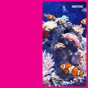 TONER MAGENTA P/VERSALINKC7020/7025/7030 11,800 PAGINAS 
